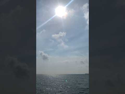 What a beach 🥰 #dantediy #family #beach #summer