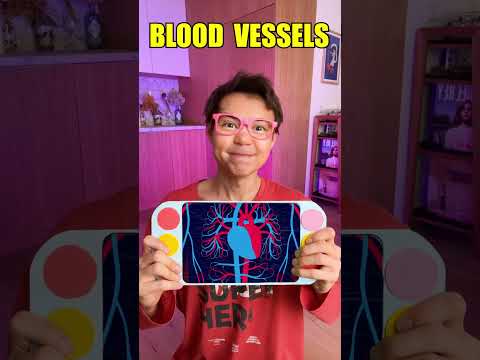 Let's Learn What's Hiding Inside Our Body 🧠❓ #kidsvideo #learning