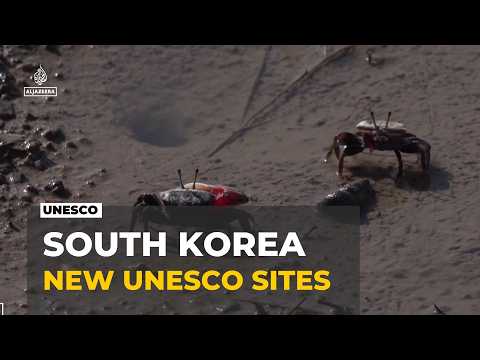 South Korea heritage sites: Four more wetland areas proposed for UNESCO list