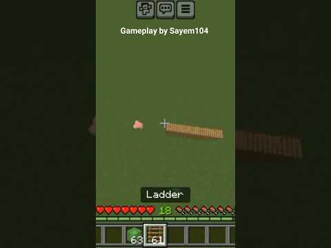 Insane Minecraft Ladder Clutch on Simplecraft!!