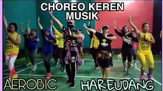 Download lagu #hareudang  DJ HAREUDANG NESTAPA PROG.//CHOREO AERODANCE mp3