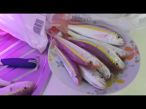 BARBUN (Tekir) BALIĞINDA Kİ DOĞAL FOSFOR ( GLOW )