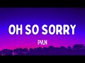 PVLN Oh So Sorry Lyrics Girl I M Oh So Sorry