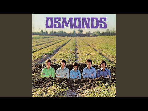 He Ain't Heavy... He's My Brother