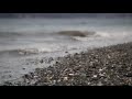 Salish Sea Dreams