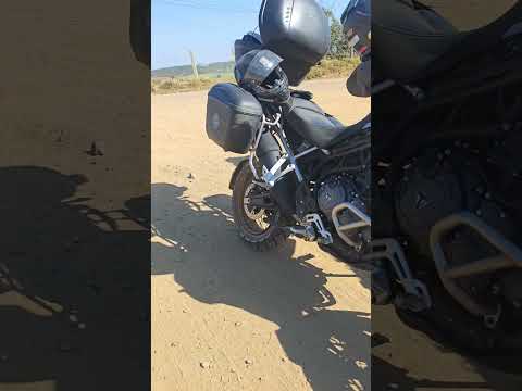 Doutor Ulysses a Sengés