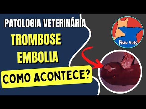 Trombose e embolia - Patologia geral - Medicina veterinária