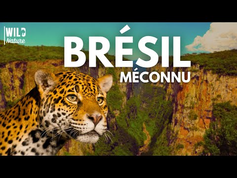 LE BRÉSIL COMME VOUS NE L'AVEZ JAMAIS VU | Documentaire Complet
