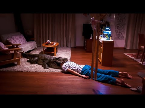 Дандаа үхсэн дүр эсгэдэг эхнэр. Шалтгаан?