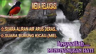 Download lagu Suara Aliran Sungai dan Kicauan Murai Batu,|Menenangkan Hati|#relaxing #meditasiketenanganjiwa mp3