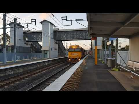 Pacific National PN009+8327 87P2 at Lawnton.