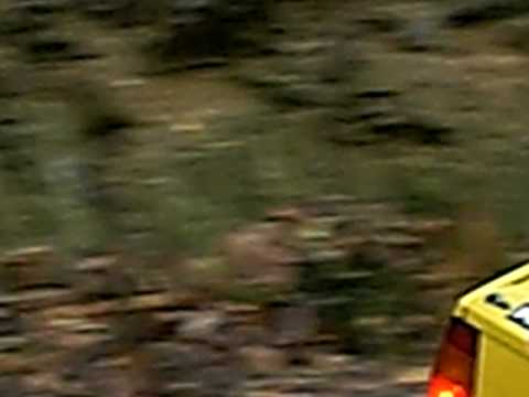 rally rondè pratiglione-Lancia Delta