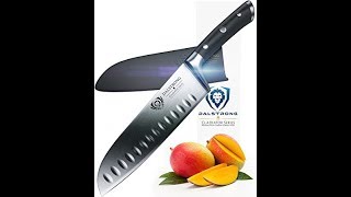 Dalstrong Gladiator Santoku Knife Review