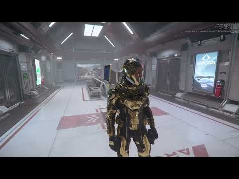 $5000 Golden Armor Star Citizen