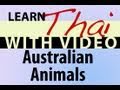 Learn Thai with Video - Australian Animals