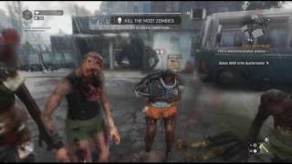 Dying Light - Rangers Bow (Preview)