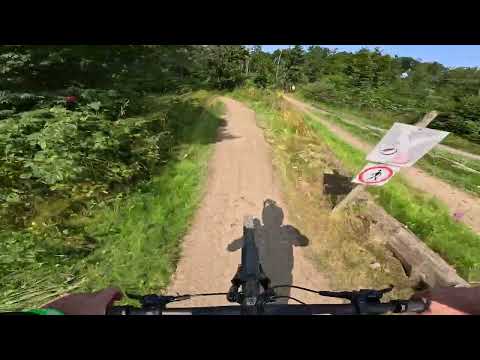 MSB X Trail Sankt Andreasberg Linie 2 (Rot) Stollentour (Singletrail)