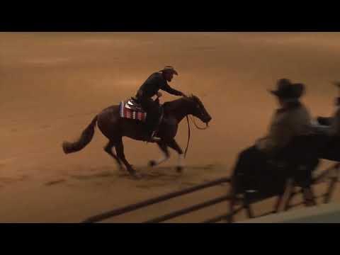 200221 Open Ruben Van Dorp on Cromed Out Sunset