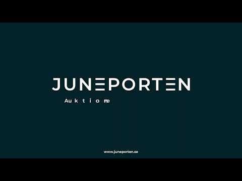 Videoklipp
