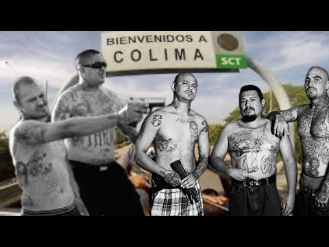 ‘Kryeqyteti botëror i vrasjeve’, atje ku rrugët lahen me gjak / Cartel, në Top News