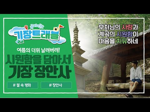 바다 없이 시원하게 여름을 나는 방법! 두둥! / 장안사