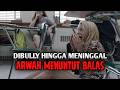 FILM INI BIKIN MERINDING TEROR BALAS DENDAM ARWAH YANG TIDAK TENANG