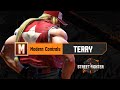 Street Fighter 6 Modern Controls Terry