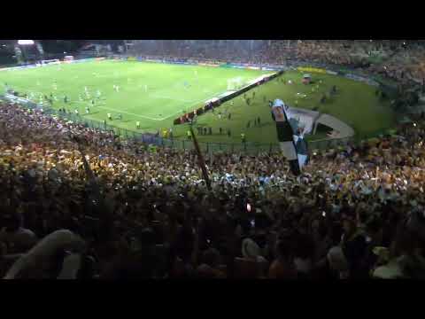 NA BARREIRA EU VOU FESTEJAR | Vasco 2x1 Criciúma