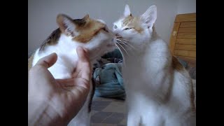 I wanted her, she wanted him