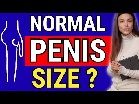 Какой нормальный размер пениса? УРОЛОГ ОБЪЯСНЯЕТ: как точно измерить длину и обхват?