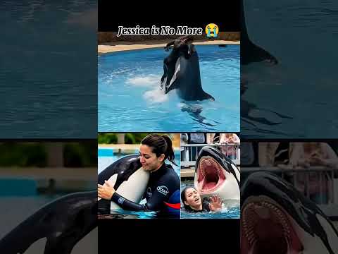 hjaysika ko dolfhin khaa gai#shots