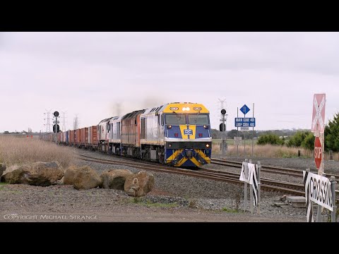 SCT / SBR 7922V Dooen Container Train With EL61, CLF2, EL55 & CSR012  (11/5/2021) - PoathTV Railways