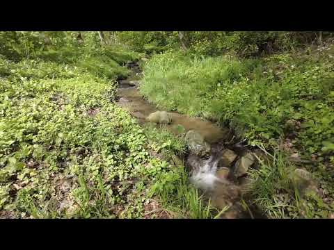 Ontdek de geschiedenis langs de Rijn in Oosterbeek