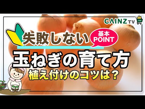 玉ねぎの隣に植える花はどれですか?タマネギのウジ虫を防ぐ植物を発見する  庭園