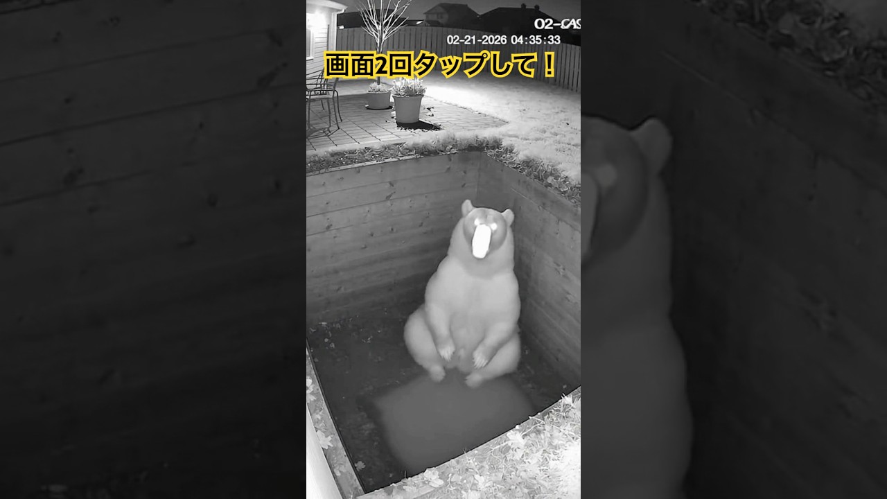 熊が庭の落とし穴にはまる #ai