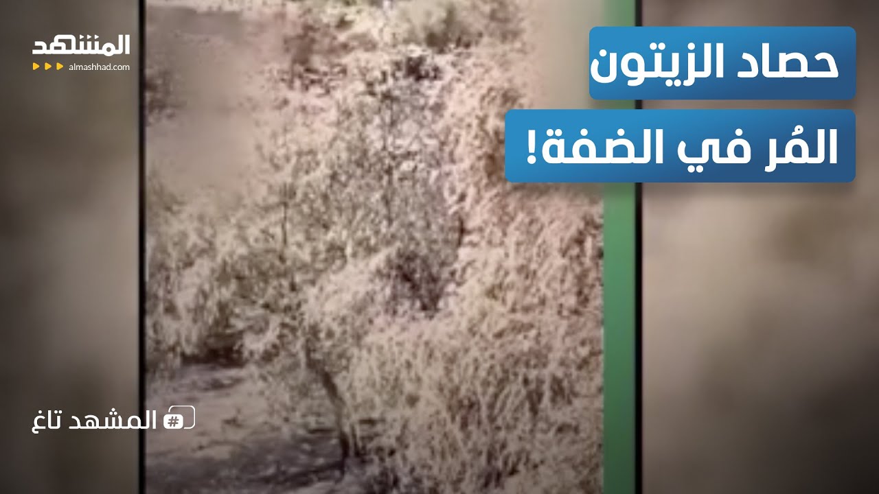"لن نترك أرضنا".. مشاهد صادمة من مطاردة المزارعين الفلسطينيين في الضفة   – الم?