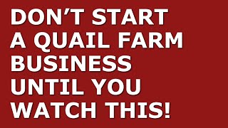 How to Start a Quail Farm Business | Free Quail Farm Business Plan Template Included
