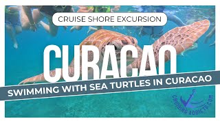 Cruise Shore Excursions - Sea Turtles&nbsp;in&nbsp;Curacao&nbsp;Swimming and Snorkeling Shore Excursion from Viator