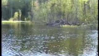 Рыбалка озеро бросно в тверской области