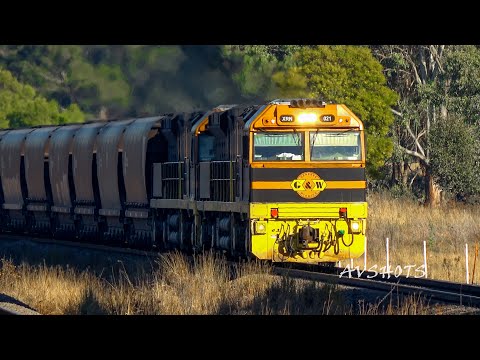 Hunter Valley Trainspotting | Morning Rush @ Lochinvar | 1R G&W, Aurizon, PN | Coal Trains