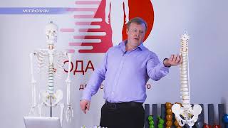 Метаболизм