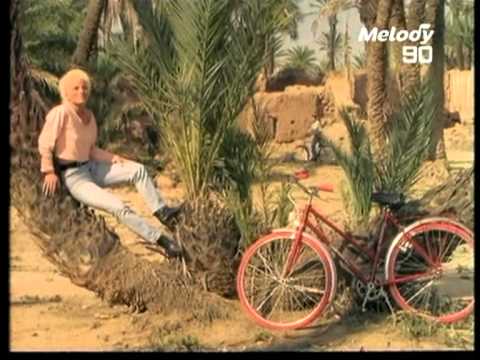 owl-carousel-video-image