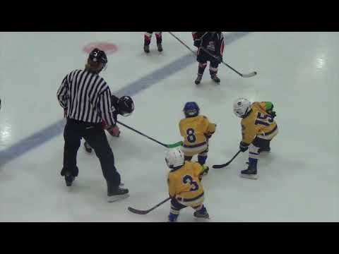 HK Tornaado G1 – HC Vipers G BLACK 18:1 (9:1; 9:0) 22.10.2017