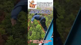 【カズマ】常設日本一の高さのバンジージャンプ【バンジージャンプ】