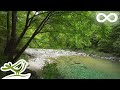 Warm Light Relaxing Flute Guitar Piano Music With Birds Singing
