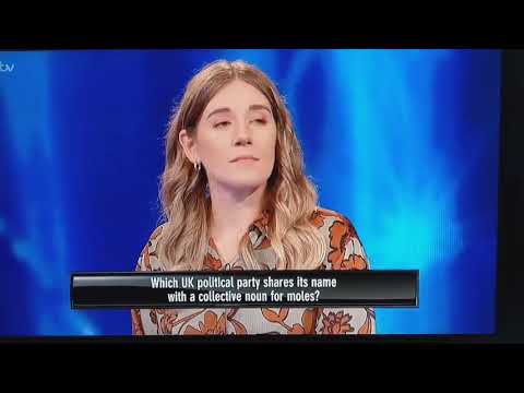 a collective noun for moles