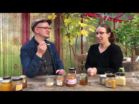 Honungsprovarna smakar ljunghonung