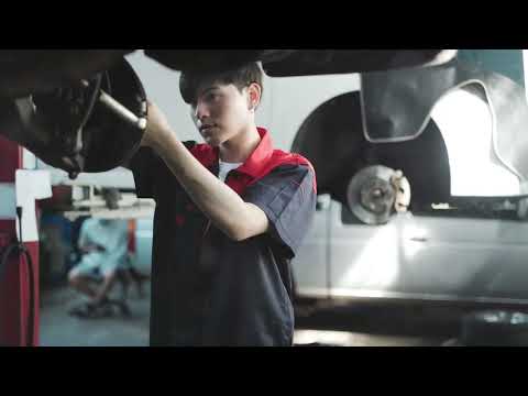 Daily Stocks Report November 2nd