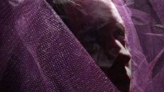 who shot the go-go dancer?