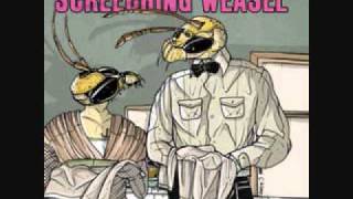 Screeching Weasel - I Can See Clearly